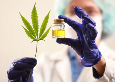 La Universidad de Lanús creará laboratorio para producir cannabis medicinal