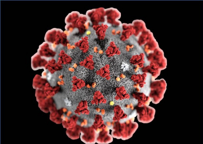 Investigadores de la UNLa responden sobre el Coronavirus