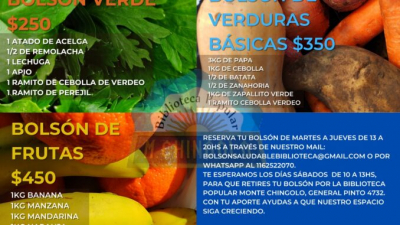 Bolsones de frutas y verduras a precios populares en la Biblioteca popular  Monte Chingolo