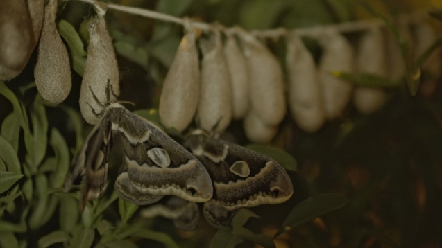 Fotograma de No Abras Los Ojos Y Tendrás Mi Piel