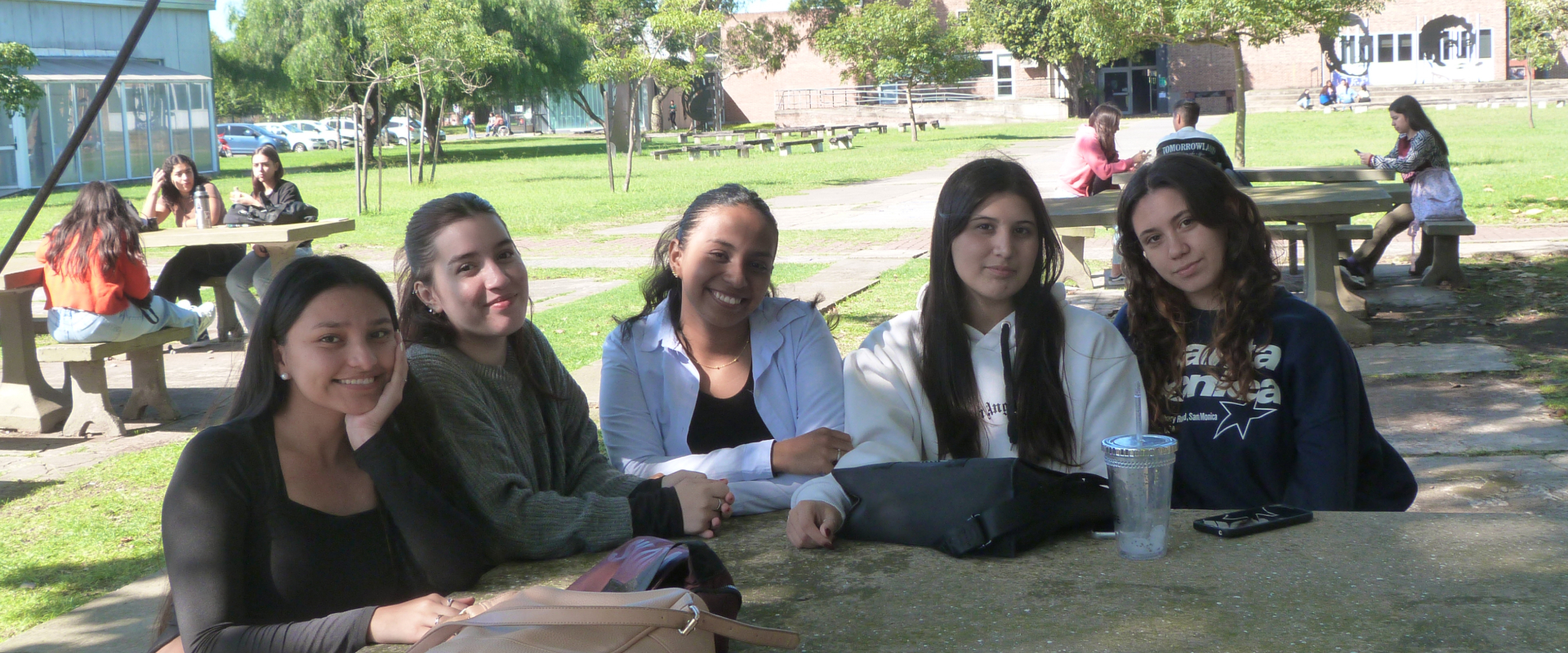 Descripción de la imagen