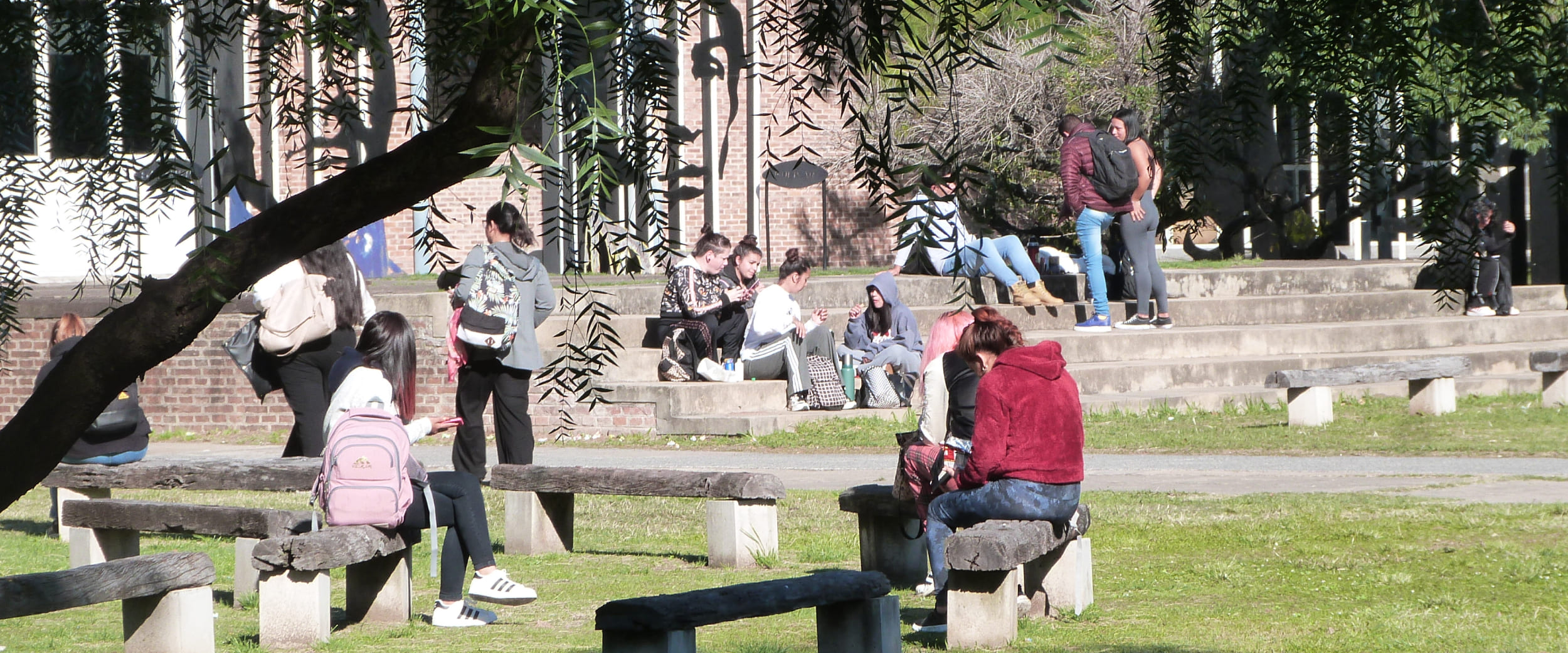 Descripción de la imagen