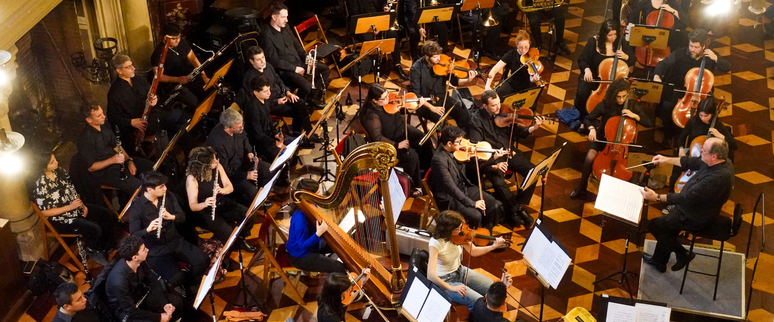 Descripción de la imagen