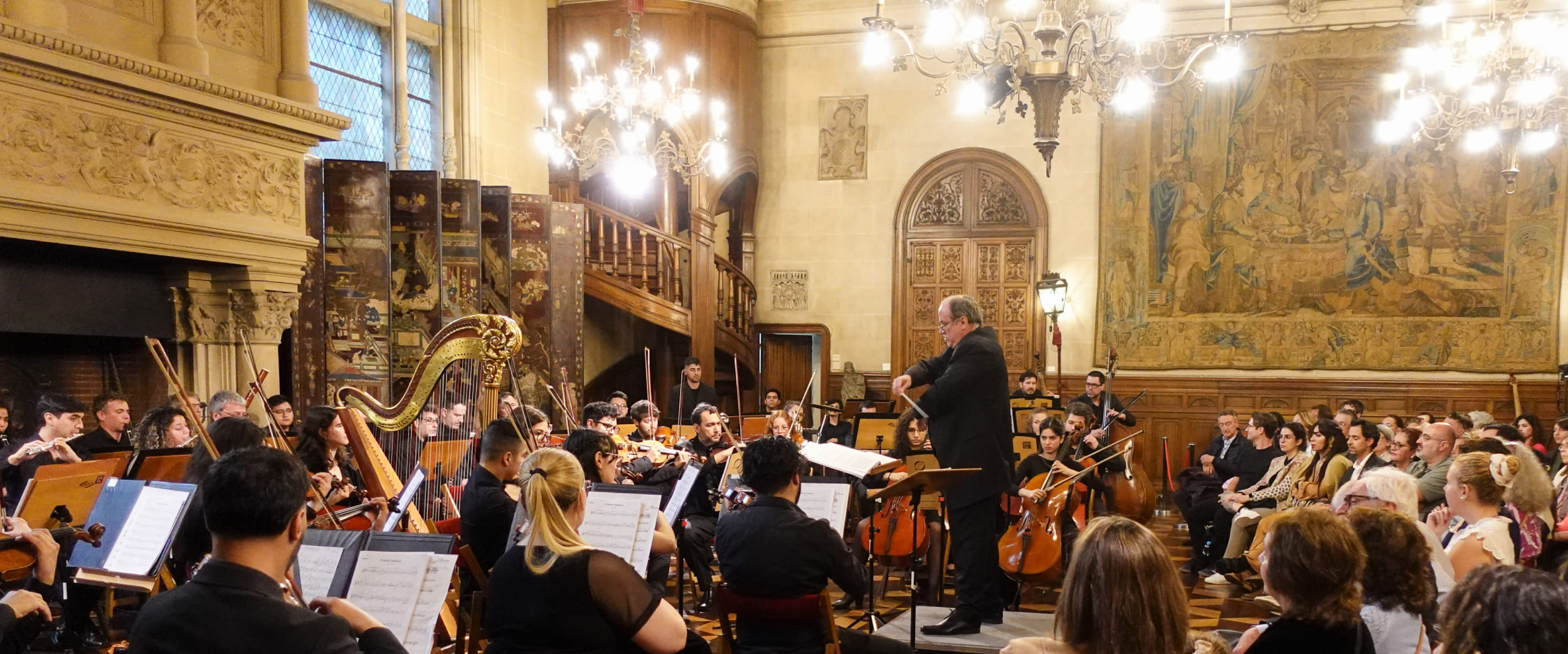 Descripción de la imagen