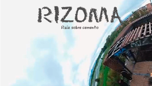 Rizoma