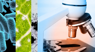 Taller gratuito sobre microscopios y lupas para chicos en la UNLa