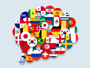 ¡Conocé nuestra base interactiva de consultas sobre becas y convocatorias internacionales!