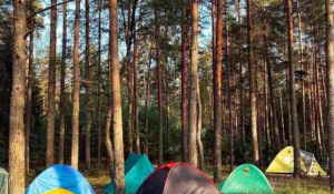 Se llevará adelante el primer campamento cannábico en las sierras bonaerenses de Tornquist