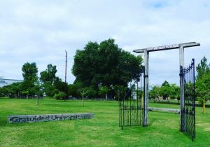 Lanzamiento del concurso 'Promocion&aacute; tu Destino' en las universidades
