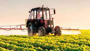 Salud y agroquímicos