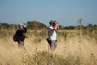 Declararon paisaje protegido al Camino de las Flores de Longchamps