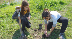 ACUMAR realiza plantaciones participativas de flora nativa