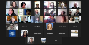 Captura de pantalla de la videoconferencia virtual con cuadr&iacute;cula de participantes del encuentro.