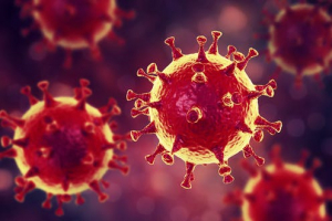 CORONAVIRUS (2019-mCov) - Información importante