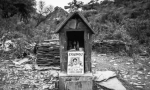 Lucrecia Martel presenta &ldquo;Nuestra Tierra&rdquo; en la UNLa: proyecci&oacute;n y charla sobre el sonido de su nuevo documental